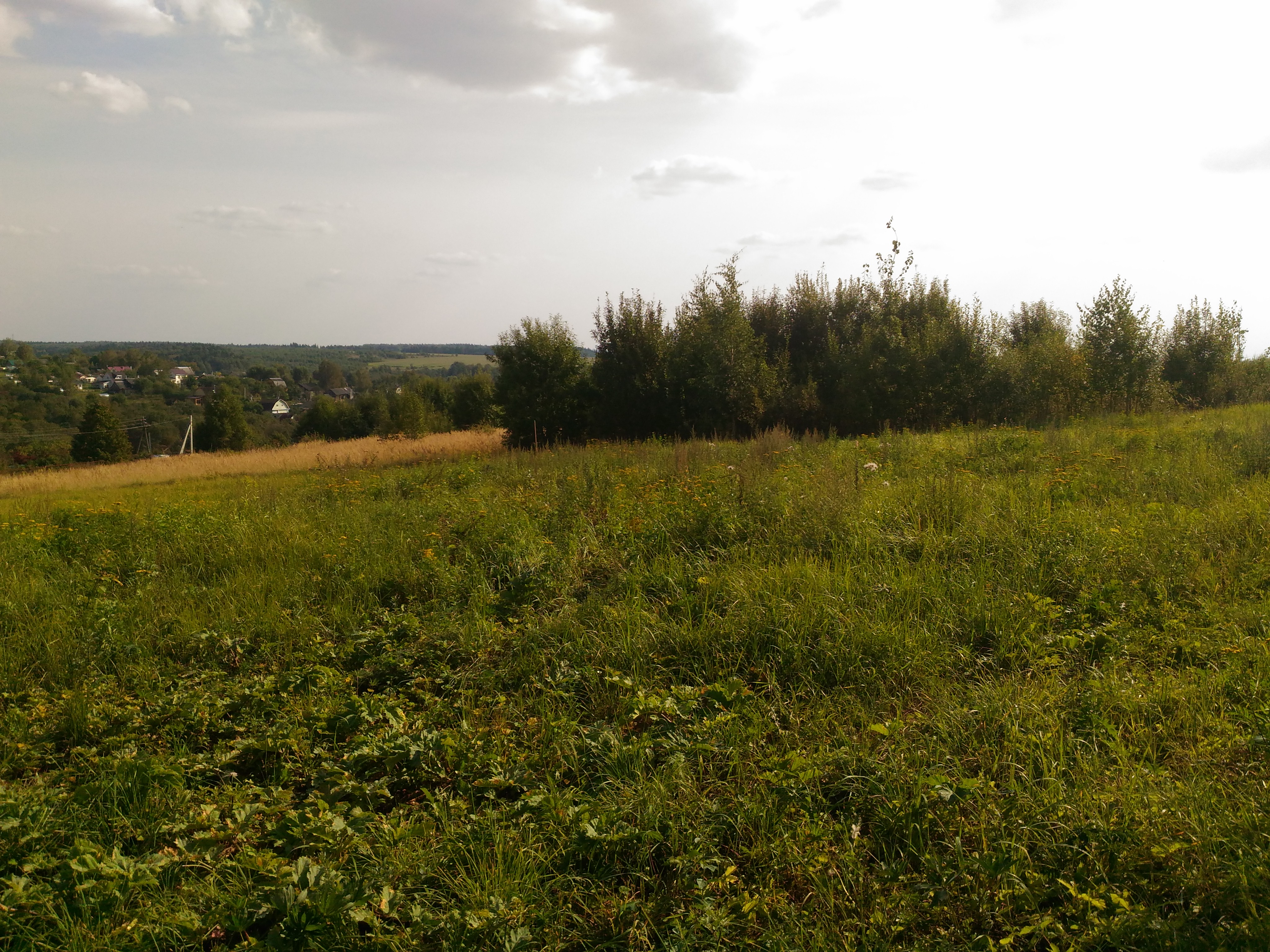 Продажа садового дома в деревне Ченцы по Волоколамскому шоссе СНТ Родник Волоколамского района и участком 7.5 соток.